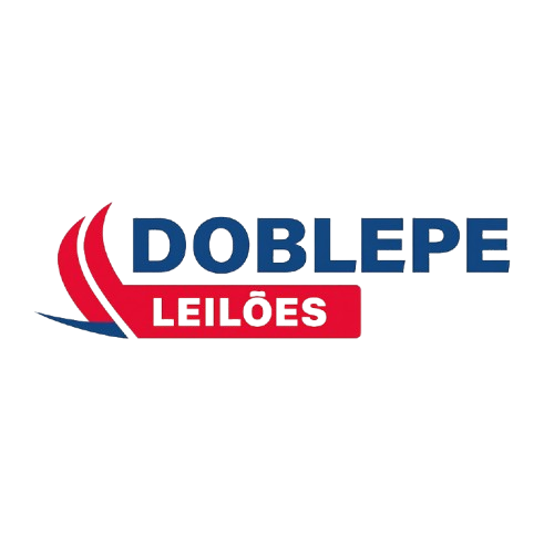 Double Leilões